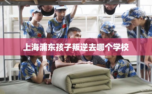 上海浦东孩子叛逆去哪个学校 上海浦东孩子叛逆去哪个学校