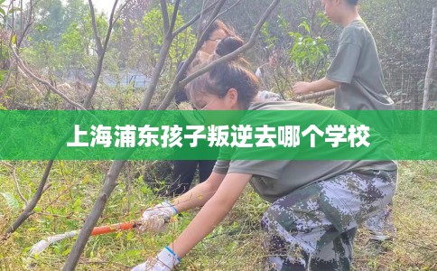 上海浦东孩子叛逆去哪个学校 上海浦东孩子叛逆去哪个学校