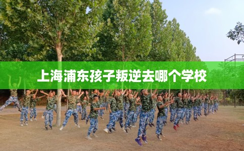 上海浦东孩子叛逆去哪个学校 上海浦东孩子叛逆去哪个学校
