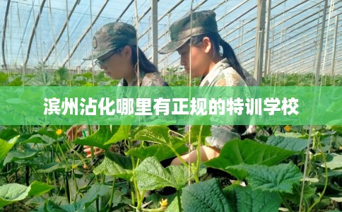 滨州沾化哪里有正规的特训学校 滨州沾化哪里有正规的特训学校