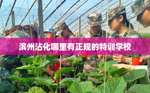 滨州沾化哪里有正规的特训学校 滨州沾化哪里有正规的特训学校