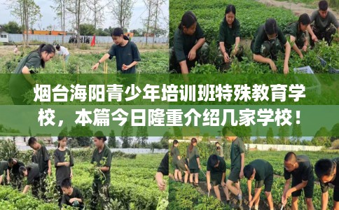 烟台海阳青少年培训班特殊教育学校，本篇今日隆重介绍几家学校！
