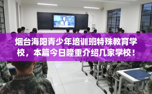 烟台海阳青少年培训班特殊教育学校，本篇今日隆重介绍几家学校！