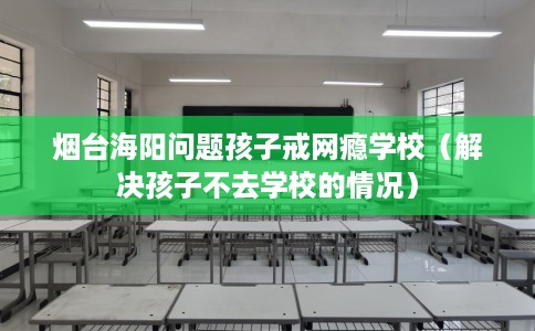 烟台海阳问题孩子戒网瘾学校（解决孩子不去学校的情况）