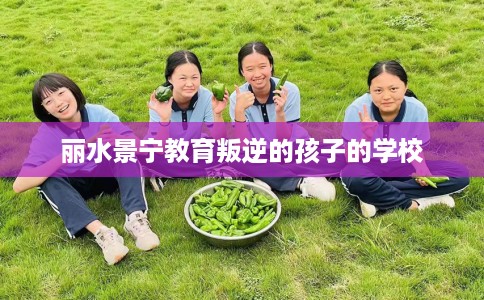 丽水景宁教育叛逆的孩子的学校
