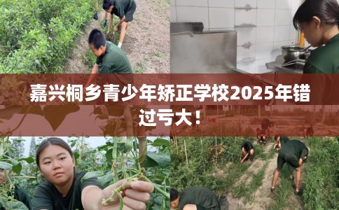 嘉兴桐乡青少年矫正学校2025年错过亏大！