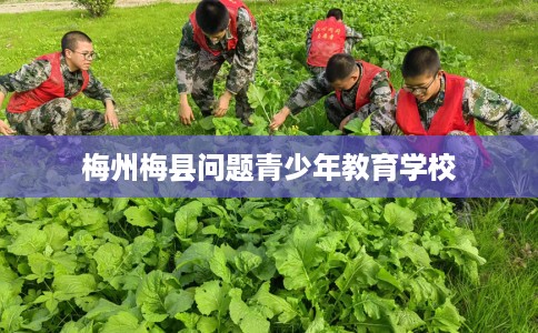 梅州梅县问题青少年教育学校