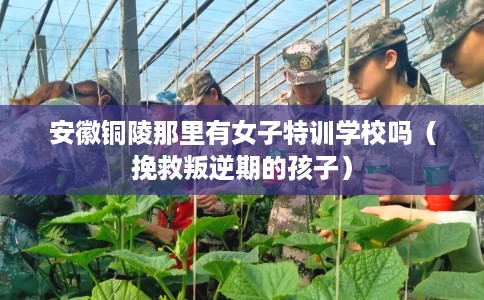 安徽铜陵那里有女子特训学校吗（挽救叛逆期的孩子）