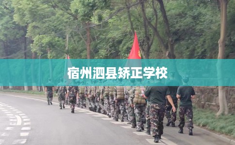 宿州泗县矫正学校 宿州泗县矫正学校