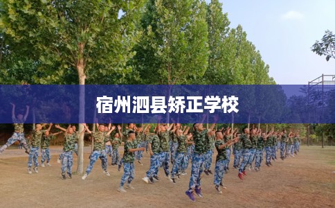 宿州泗县矫正学校 宿州泗县矫正学校
