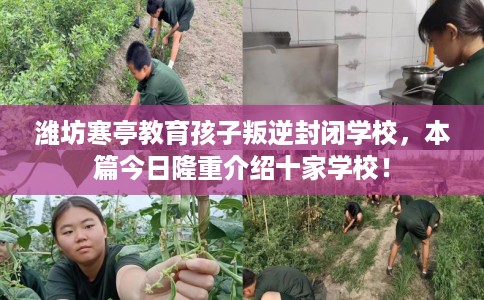 潍坊寒亭教育孩子叛逆封闭学校，本篇今日隆重介绍十家学校！