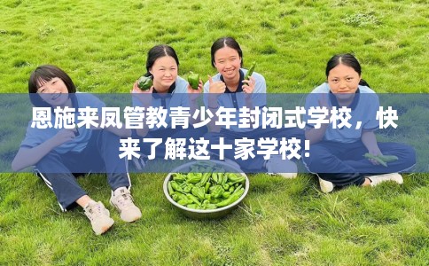 恩施来凤管教青少年封闭式学校,快来了解这十家学校! 恩施来凤管教青少年封闭式学校,快来了解这十家学校!