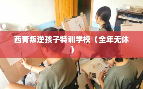 西青叛逆孩子特训学校(全年无休) 西青叛逆孩子特训学校(全年无休)