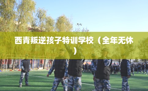 西青叛逆孩子特训学校(全年无休) 西青叛逆孩子特训学校(全年无休)