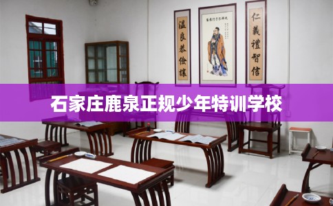 石家庄鹿泉正规少年特训学校