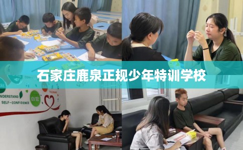 石家庄鹿泉正规少年特训学校