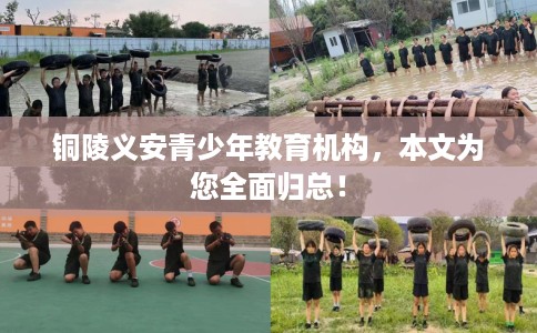铜陵义安青少年教育机构，本文为您全面归总！