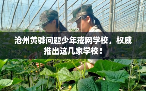 沧州黄骅问题少年戒网学校，权威推出这几家学校！