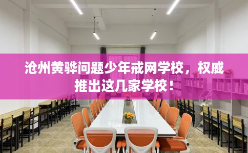 沧州黄骅问题少年戒网学校，权威推出这几家学校！