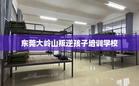 东莞大岭山叛逆孩子培训学校