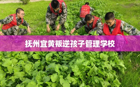 抚州宜黄叛逆孩子管理学校