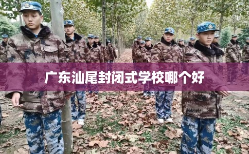 广东汕尾封闭式学校哪个好
