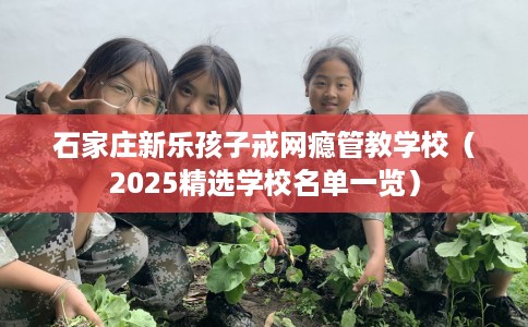 石家庄新乐孩子戒网瘾管教学校（2025精选学校名单一览）