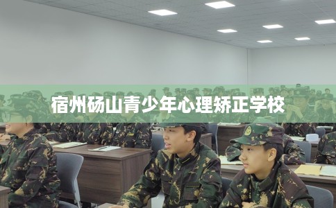 宿州砀山青少年心理矫正学校
