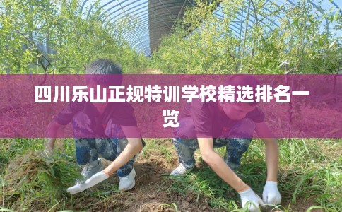 四川乐山正规特训学校精选排名一览