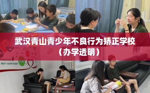 武汉青山青少年不良行为矫正学校（办学透明）