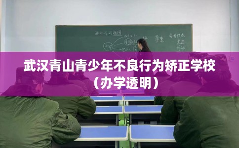 武汉青山青少年不良行为矫正学校（办学透明）