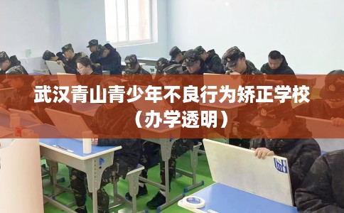 武汉青山青少年不良行为矫正学校（办学透明）