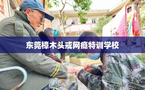东莞樟木头戒网瘾特训学校