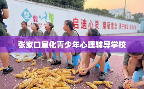 张家口宣化青少年心理辅导学校