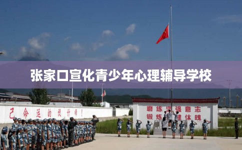 张家口宣化青少年心理辅导学校