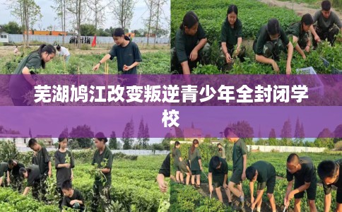 芜湖鸠江改变叛逆青少年全封闭学校