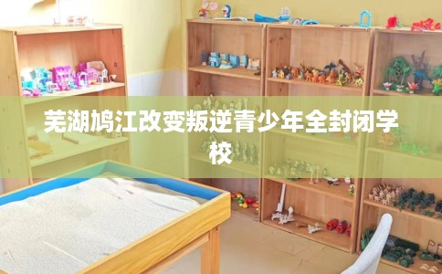 芜湖鸠江改变叛逆青少年全封闭学校
