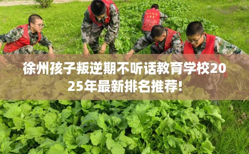 徐州孩子叛逆期不听话教育学校2025年最新排名推荐!