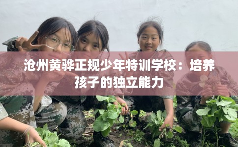 沧州黄骅正规少年特训学校：培养孩子的独立能力