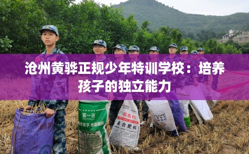 沧州黄骅正规少年特训学校：培养孩子的独立能力