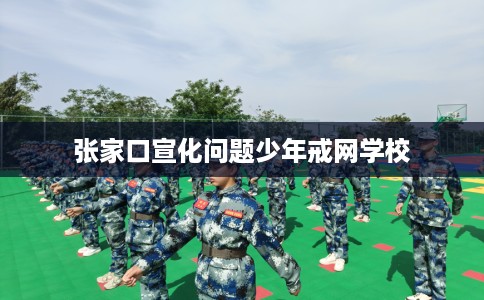 张家口宣化问题少年戒网学校