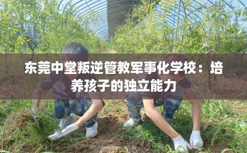 东莞中堂叛逆管教军事化学校：培养孩子的独立能力