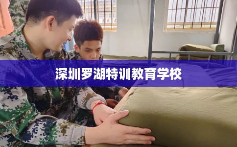 深圳罗湖特训教育学校