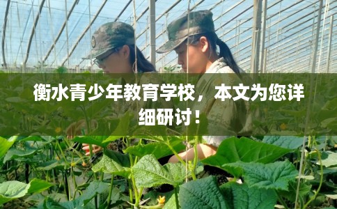 衡水青少年教育学校，本文为您详细研讨！