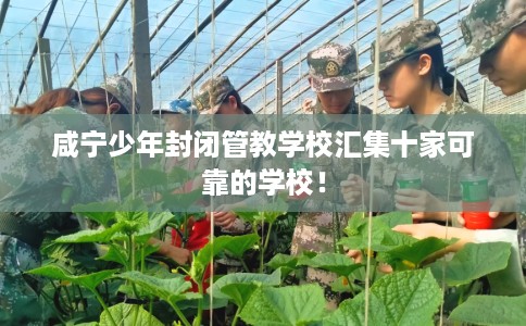 咸宁少年封闭管教学校汇集十家可靠的学校！