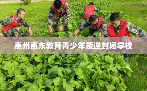 惠州惠东教育青少年叛逆封闭学校
