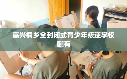 嘉兴桐乡全封闭式青少年叛逆学校哪有