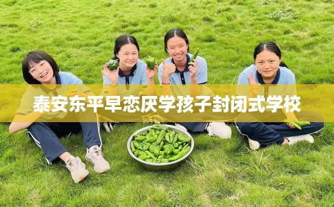 泰安东平早恋厌学孩子封闭式学校