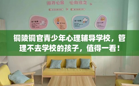 铜陵铜官青少年心理辅导学校，管理不去学校的孩子，值得一看！