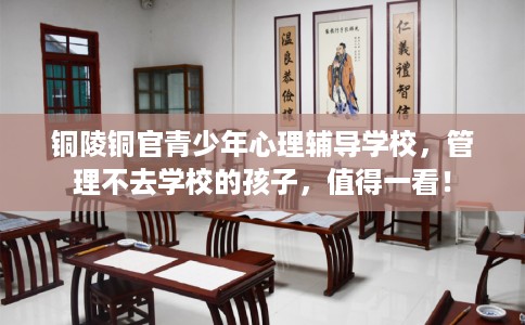铜陵铜官青少年心理辅导学校，管理不去学校的孩子，值得一看！
